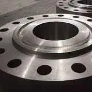 Duplex 2205 RTJ Flange Manufacturer Exporter in India
