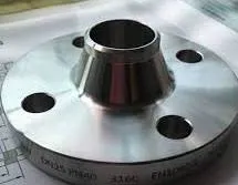 Duplex 2205 Weld Neck Flange Manufacturer Exporter in India