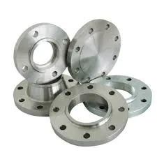 Duplex EN 1.4162 Flanges Manufacturer Exporter in India