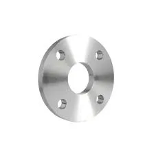 Duplex EN 1.4462 Flanges Manufacturer Exporter in India