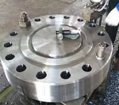 Duplex Flange Class 2500 Manufacturer Exporter in India
