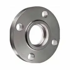 Duplex Flange Exporter Manufacturer Exporter in India