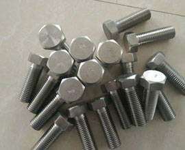 Hastelloy Fasteners Manufacturer in India